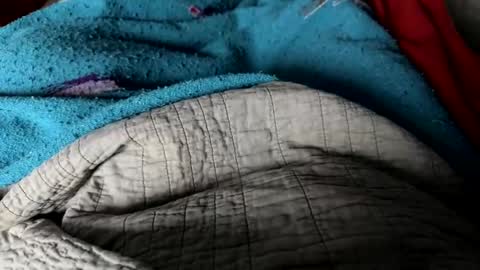 Snapshot of jerswill chatting on 25, 12, 2024 Jeremys room chill and puff one enjoy online show from 25, 12, 2024