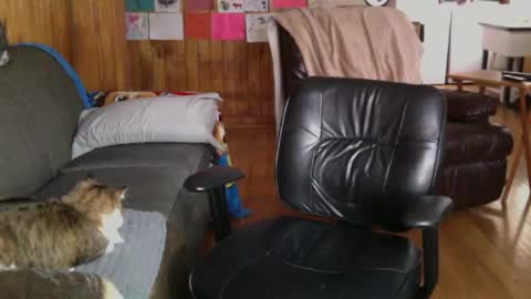 Snapshot of jettadude5 chatting on 25, 1, 2025 jettadude5 online show from 25, 1, 2025