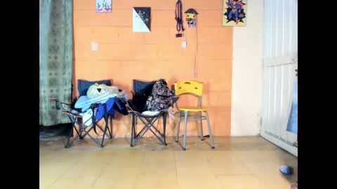 Snapshot of jharol_cardona chatting on 14, 3, 2026 Jharol online show from 14, 3, 2026