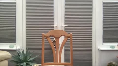 Snapshot of jiggz1986 chatting on 10, 2, 2025 Jigz1986 online show from 10, 2, 2025