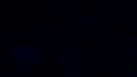 jiminowell online show from 18, 11, 2025