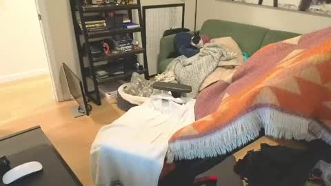 jimmygotya online show from 10, 4, 2026