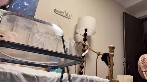 meng meng online show from 4, 2, 2026