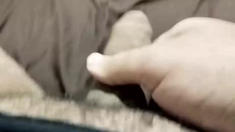 Snapshot of jj3377 chatting on 26, 10, 2025 jj3377 online show from 26, 10, 2025