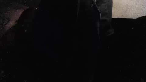 Snapshot of jjohnathan529 chatting on 26, 1, 2025 jjohnathan529 online show from 26, 1, 2025