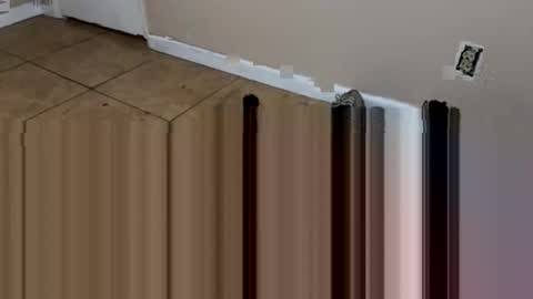 Snapshot of jocmyv9wokry chatting on 9, 1, 2026 jocmyv9wokry online show from 9, 1, 2026