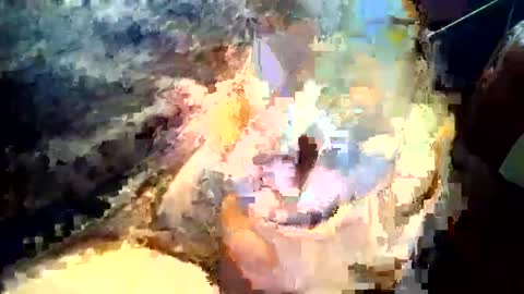 Snapshot of joedunbar61 chatting on 17, 9, 2025 joedunbar61 online show from 17, 9, 2025