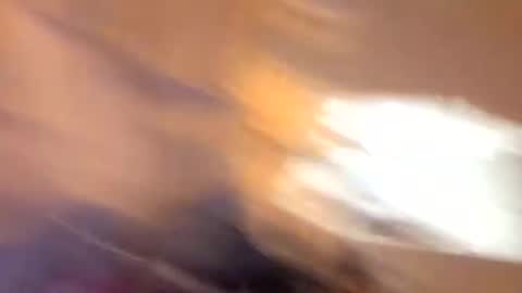 Snapshot of john0131739980 chatting on 19, 9, 2025 john0131739980 online show from 19, 9, 2025