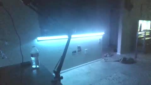 johnnyfaround online show from 19, 9, 2025