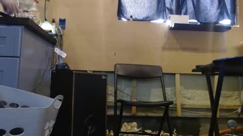 Snapshot of johnplayer23 chatting on 22, 12, 2025 johnplayer23 online show from 22, 12, 2025