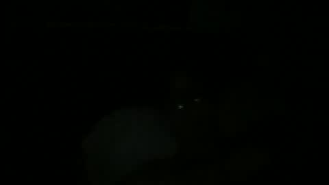 Snapshot of johnukber chatting on 9, 12, 2024 John Ukber online show from 9, 12, 2024