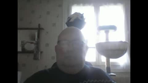 jojo60000529566 online show from 24, 12, 2024