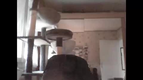 jojo60000529566 online show from 29, 9, 2025