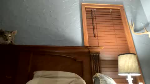 jonbigwhat online show from 26, 12, 2024