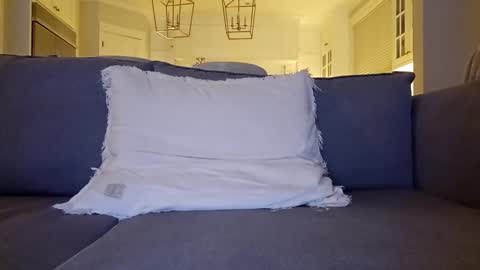 Snapshot of jonesy420xoo chatting on 20, 12, 2024 jonesy420xoo online show from 20, 12, 2024