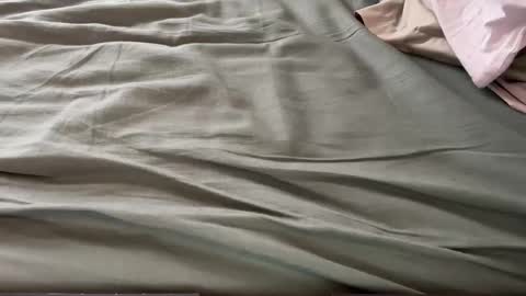 Maximo online show from 13, 3, 2026