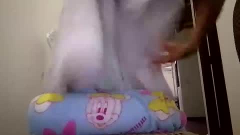 josepheape online show from 25, 4, 2026