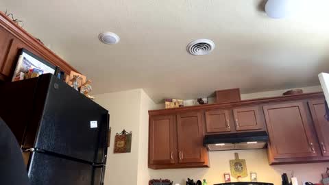 Snapshot of josephung1 chatting on 17, 1, 2025 sissy josphine online show from 17, 1, 2025