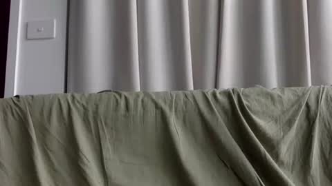 Snapshot of joshasian0713 chatting on 1, 2, 2026 joshasian0713 online show from 1, 2, 2026