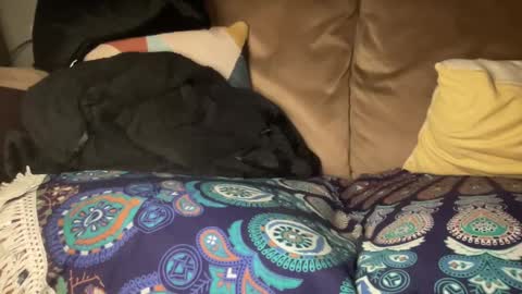 Snapshot of joshperrygoon chatting on 27, 12, 2024 joshperrygoon online show from 27, 12, 2024