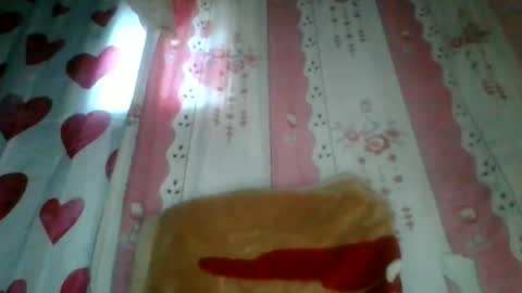 Snapshot of josy918592 chatting on 17, 6, 2026 josy918592 online show from 17, 6, 2026