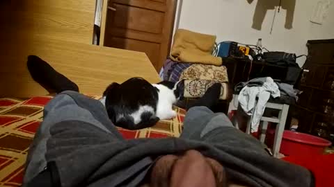 joyboy465468 online show from 26, 10, 2025