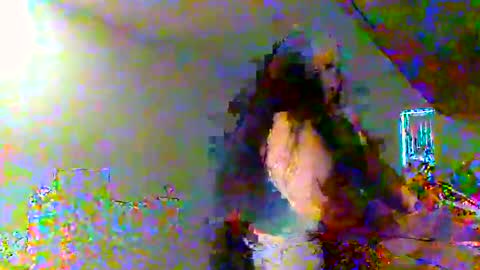 Snapshot of juicylatinabbw chatting on 20, 2, 2026 juicylatinabbw online show from 20, 2, 2026