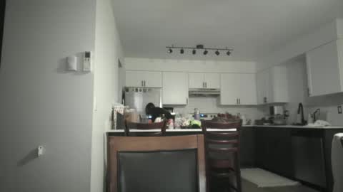 Sav online show from 5, 12, 2025