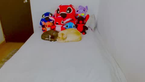  Juliana Torres  online show from 25, 2, 2026