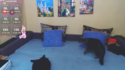 Jul online show from 4, 3, 2026