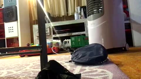 Snapshot of julieface87 chatting on 26, 3, 2026 julieface87 online show from 26, 3, 2026