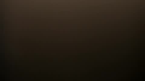     online show from 14, 2, 2026