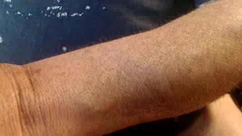 Werner online show from 16, 2, 2025