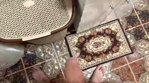 justin950116 online show from 15, 12, 2025