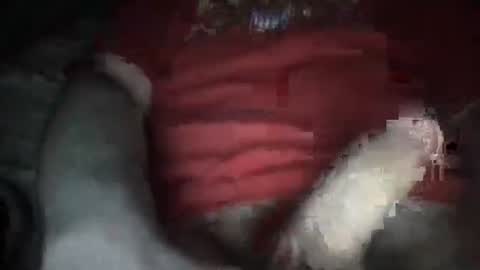 Snapshot of justinkinglols chatting on 5, 10, 2025 justinkinglols online show from 5, 10, 2025