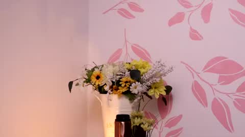 Snapshot of justnala_ chatting on 29, 6, 2026 Nala online show from 29, 6, 2026