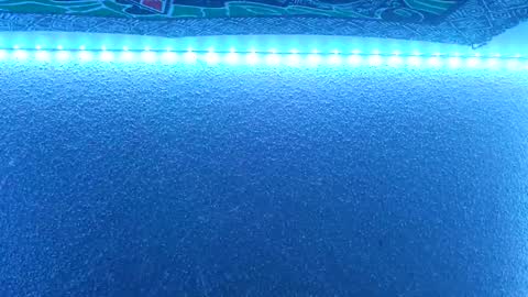 Snapshot of justtaryn chatting on 22, 2, 2025 Midnitestarr online show from 22, 2, 2025