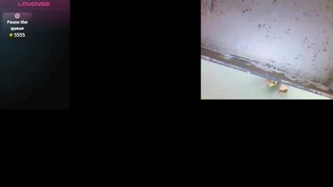 Snapshot of k36620146 chatting on 3, 3, 2026 k36620146 online show from 3, 3, 2026