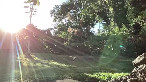 Snapshot of kaileeshy chatting on 10, 9, 2025 Kailee Smile online show from 10, 9, 2025