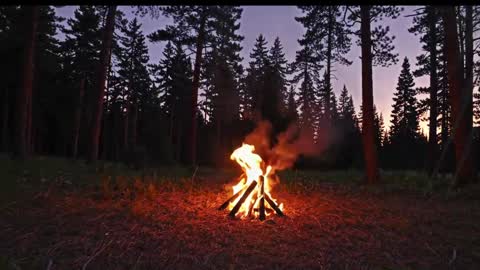 Kailee Smile online show from 9, 1, 2026