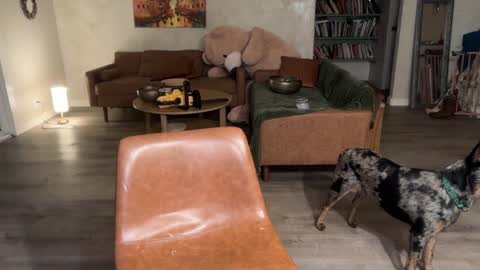 Kailee Smile online show from 6, 3, 2026