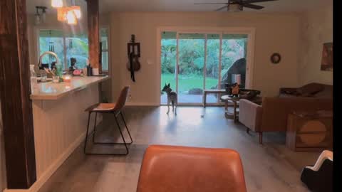 Kailee Smile online show from 21, 3, 2026