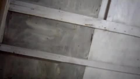 Snapshot of kakaroto30102 chatting on 17, 2, 2025 kakaroto30102 online show from 17, 2, 2025