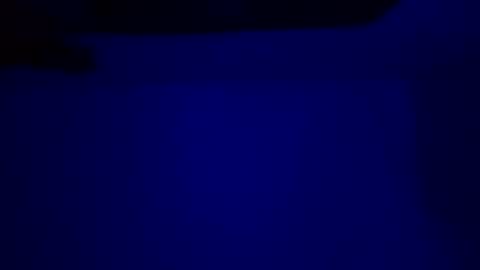 Karla Gonzaless online show from 6, 10, 2025