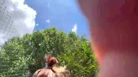 karmadewit1980 online show from 17, 4, 2026