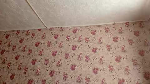 Snapshot of karoncabeza chatting on 27, 2, 2026 Sara online show from 27, 2, 2026