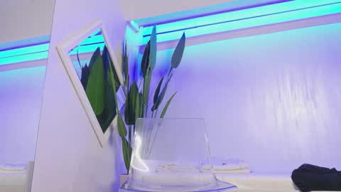 Kasey online show from 1, 3, 2026