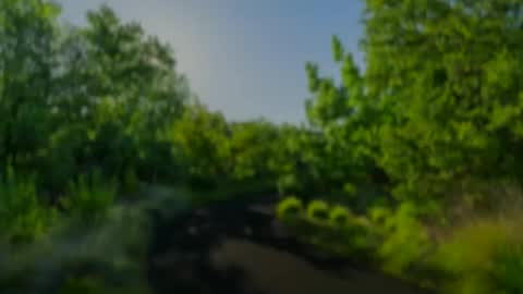 Kashmere Majesty  Redd Rydenhood online show from 23, 5, 2026