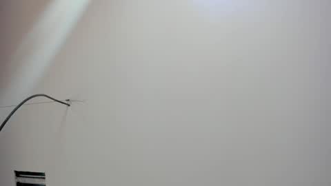 Snapshot of kate_bunny_ chatting on 18, 2, 2026 Kate online show from 18, 2, 2026