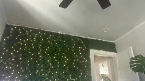 Kate online show from 30, 12, 2024